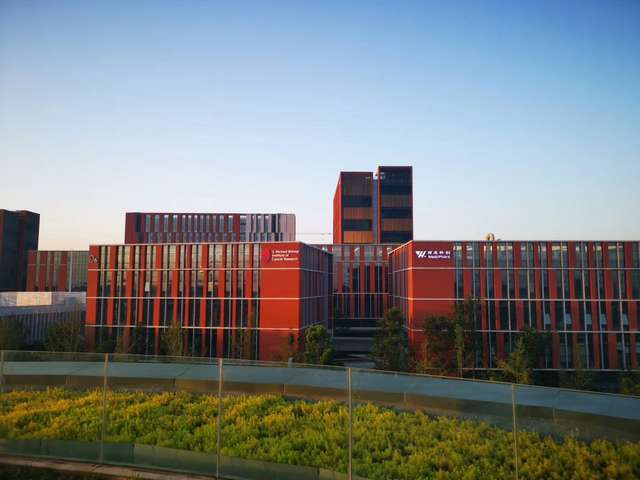 上海隐形汽车衣哪个牌子好